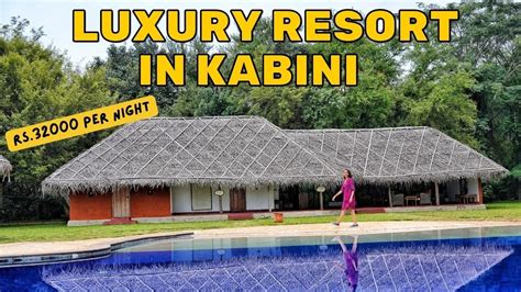 evolve back|evolve back kabini.